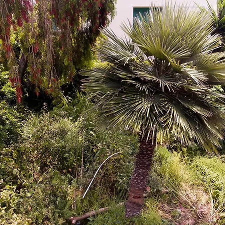 Dynot לינה וארוחת בוקר